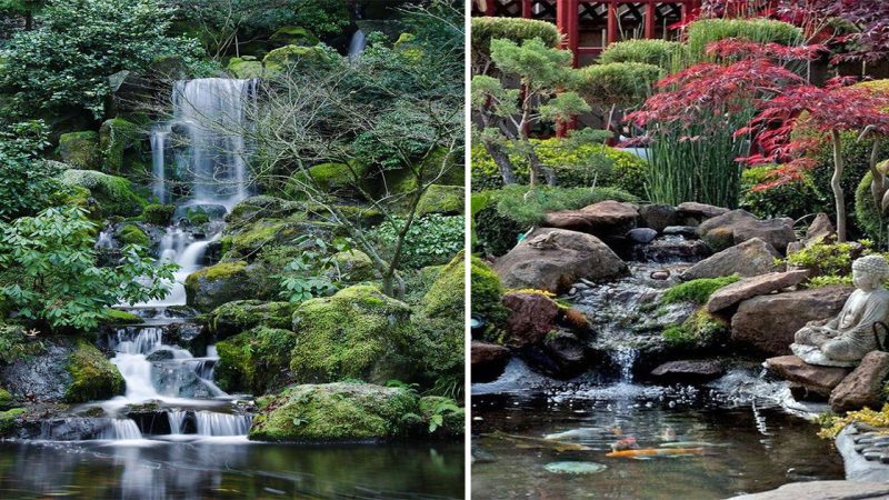 Nature’s Symphony: A Garden and Waterfall Wonderland