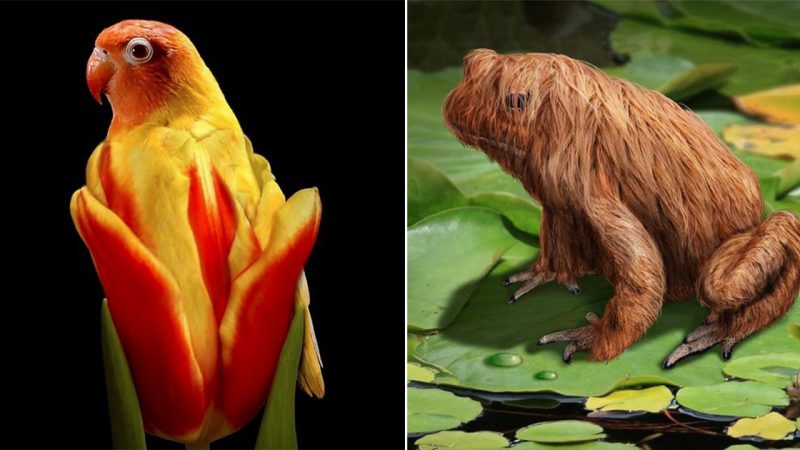 Beyond Imagination: 25 Mind-Boggling Hybrid Creatures that Push the Boundaries of Reality