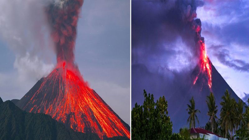 Iridescent Crown, Solong Eco Park, Camalig, Albay