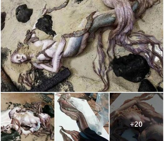 Mystery Surrounds Discovery of Mermaid-Like Creature on British Coast