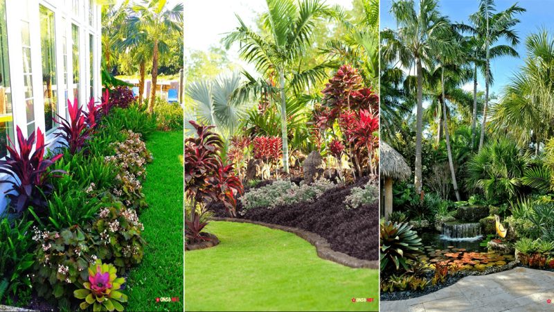 13 Impressive Tropical Garden Design Ideas