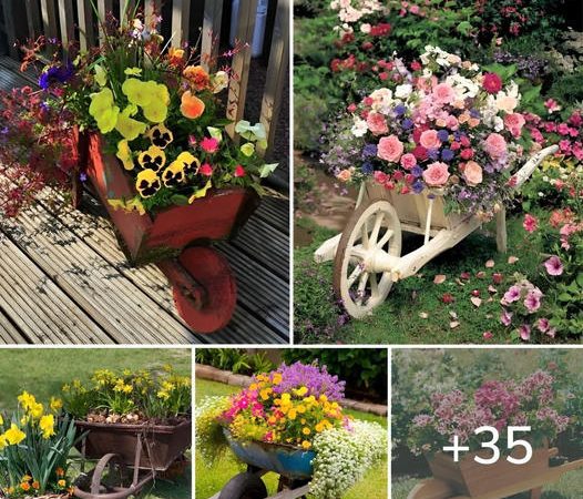 35+ Most Beautiful Wheelbarrow Planter Ideas For Your Garden