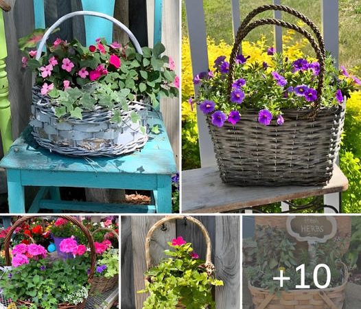 DIY Outdoor Wicker Basket Planters