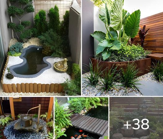 38 Unique and Innovative Small Garden Ideas