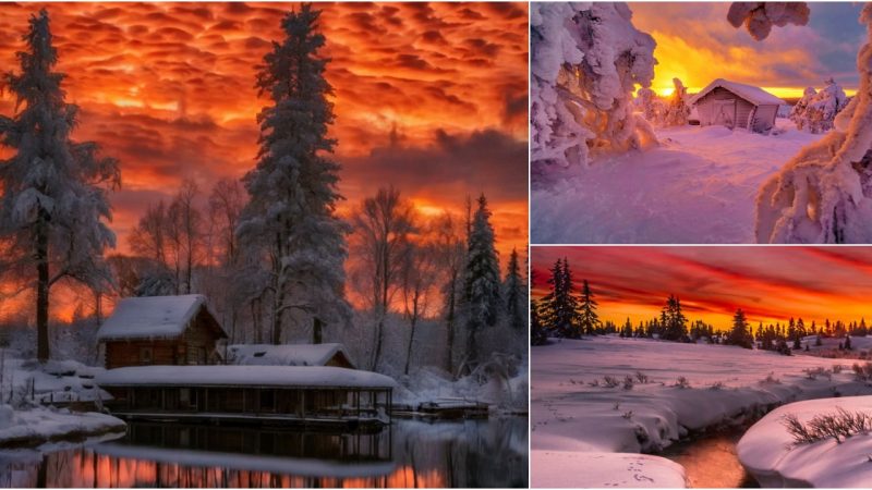 Fire and Ice: Alaska’s Fiery Skies Over a Winter Wonderland