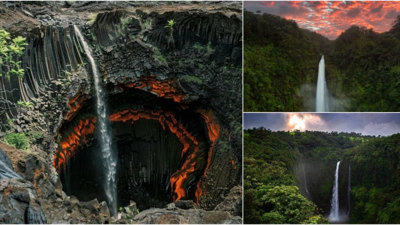 Akaka Falls: Majestic Waterfall in Hawaii’s Tropical Paradise